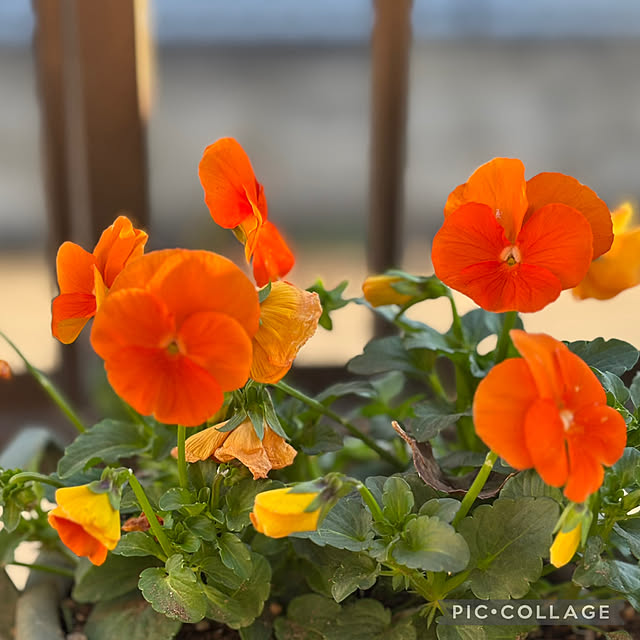 Smilkazuさんの部屋