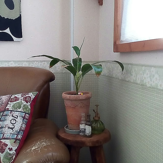 kazuさんの実例写真