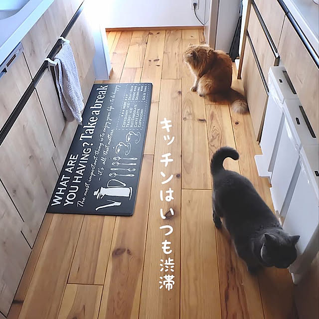 chibinoriさんの実例写真