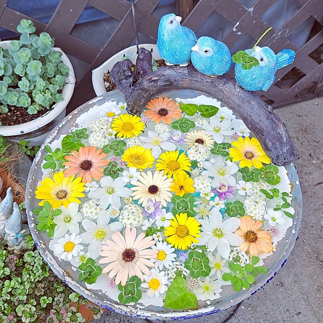 mocomocoさんの実例写真