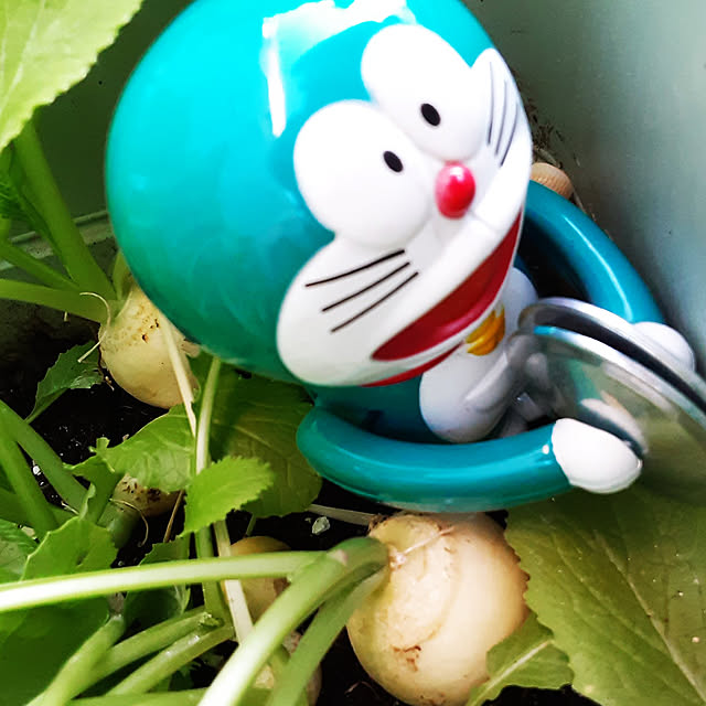 katさんの実例写真