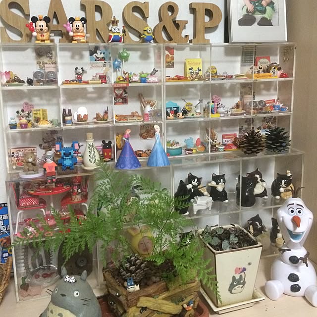 sars1129さんの実例写真
