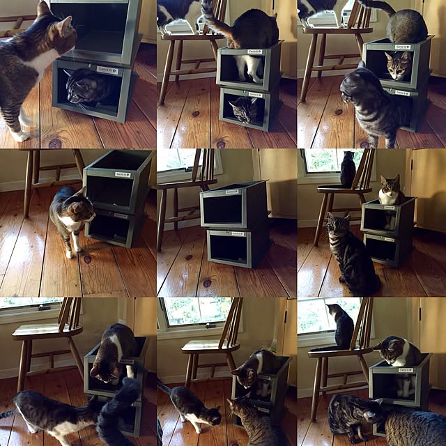 chaiさんの実例写真
