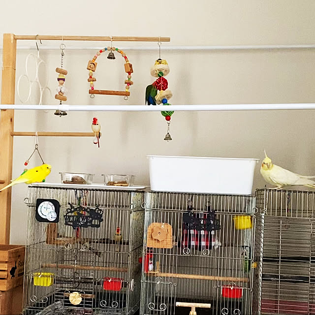 pipiさんの実例写真