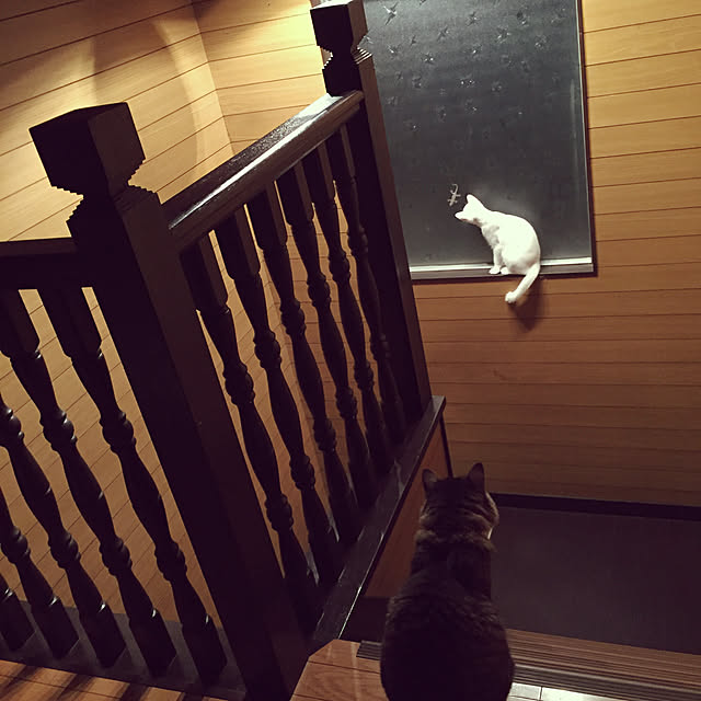 oniyomeさんの実例写真