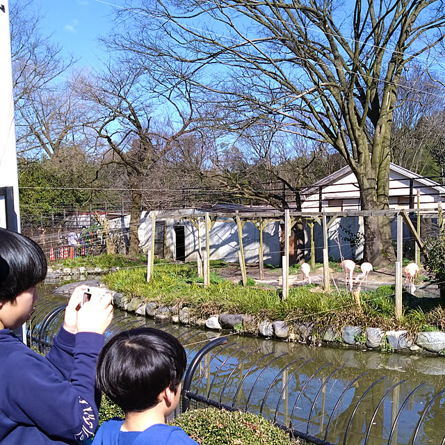 chiiyanさんの部屋