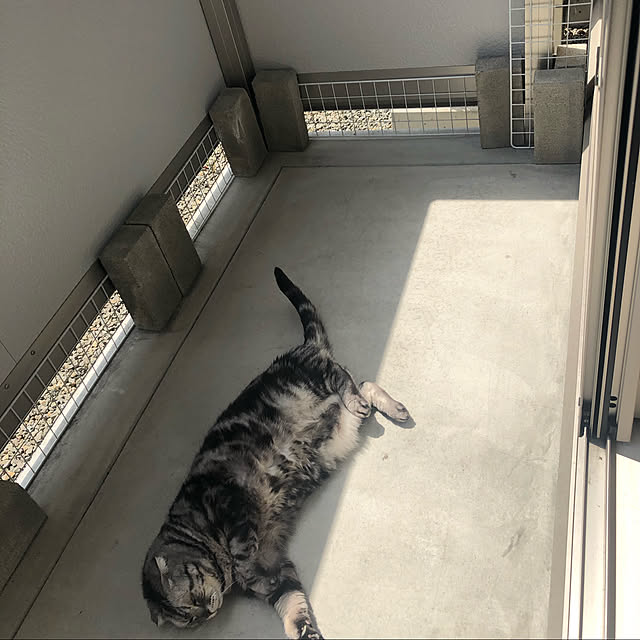 tumoさんの実例写真
