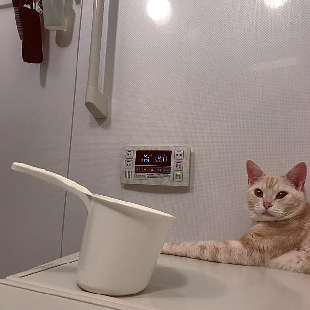 hiyupan88さんの実例写真