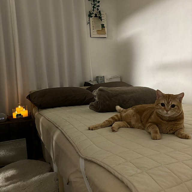 Atelier.mさんの実例写真