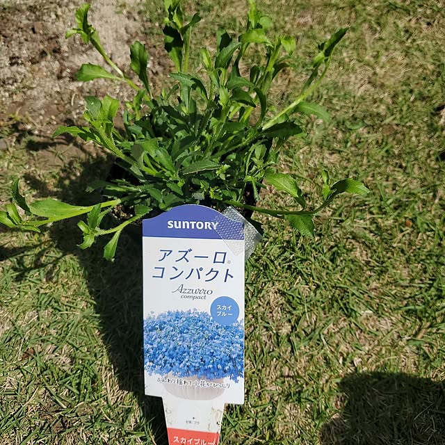 ramuramuさんの部屋