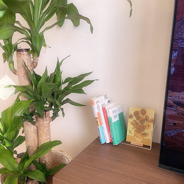 coppa_mijinさんの実例写真