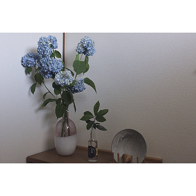 紫陽花/玄関/入り口のインテリア実例 - 2020-06-16 15:18:15