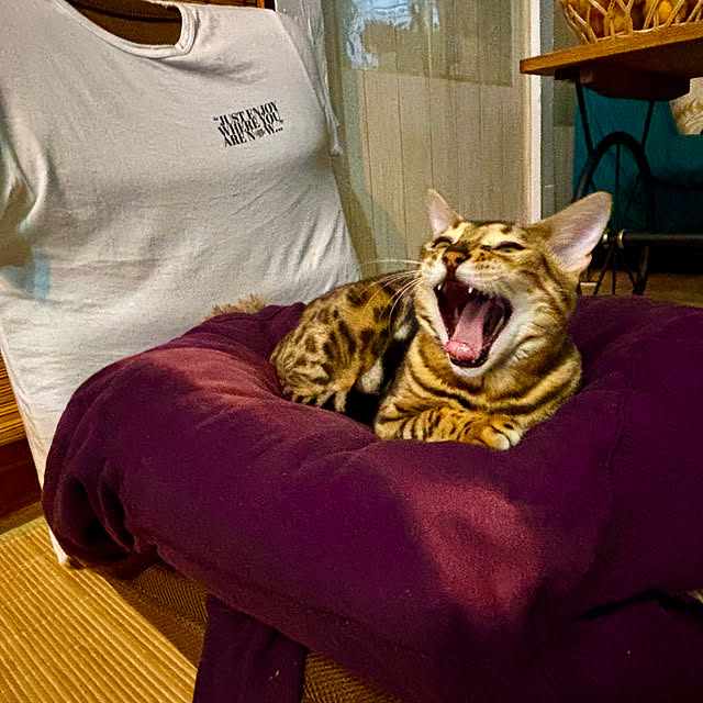 tututu0204さんの部屋