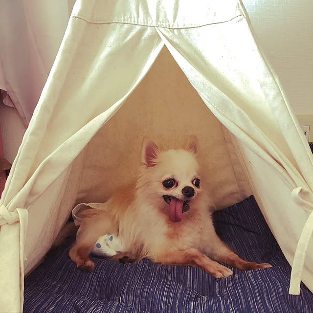 caramelさんの実例写真
