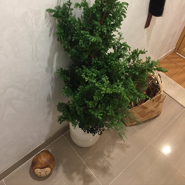 shihoさんの実例写真