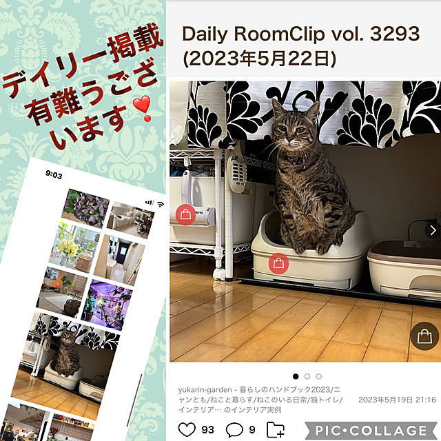 yukarin-gardenさんの実例写真