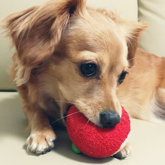 hiromiさんの実例写真