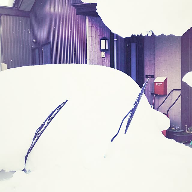 annさんの実例写真