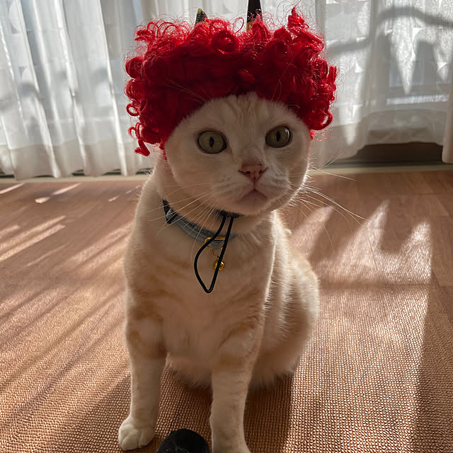 hiyupan88さんの実例写真