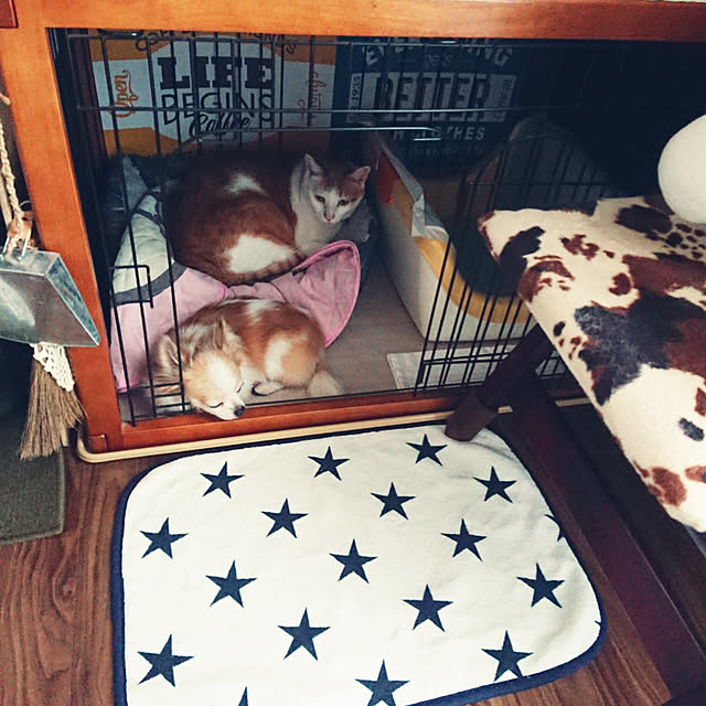 porinさんの実例写真