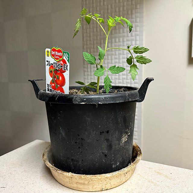 mizucchiさんの部屋