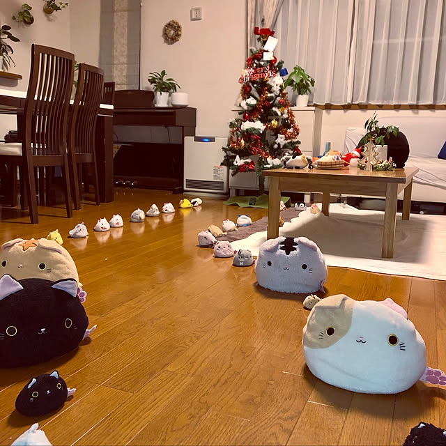 nekodaさんの実例写真