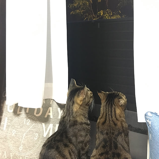 m.and.mさんの実例写真