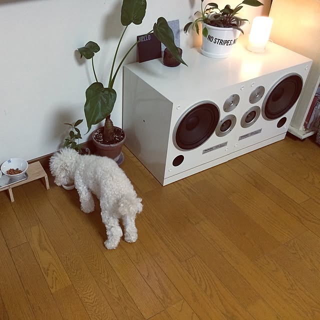 mocoyuki113さんの実例写真