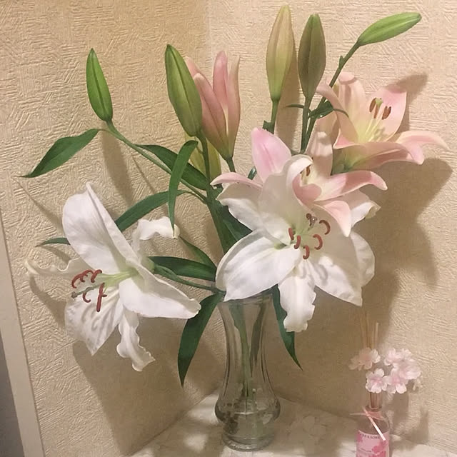 takayukimnmさんの実例写真