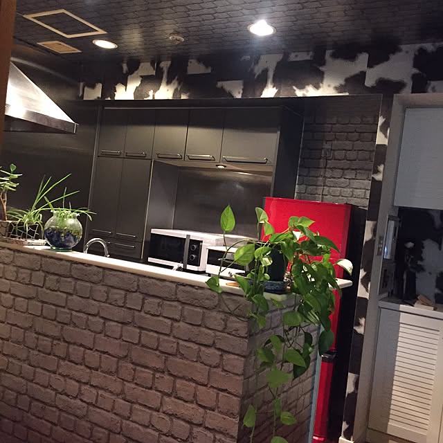 実例写真