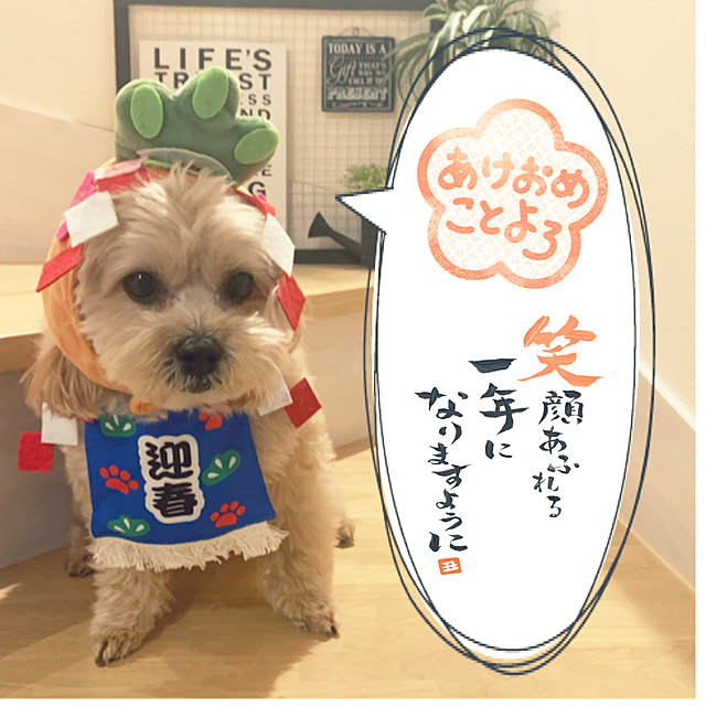 ikt.tamaさんの実例写真