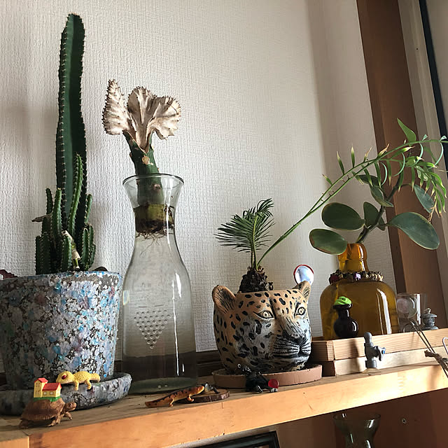 Mikaさんの実例写真