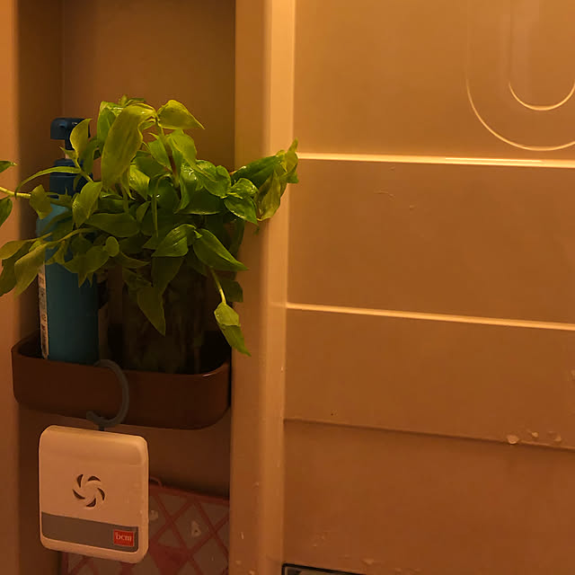 satooさんの実例写真