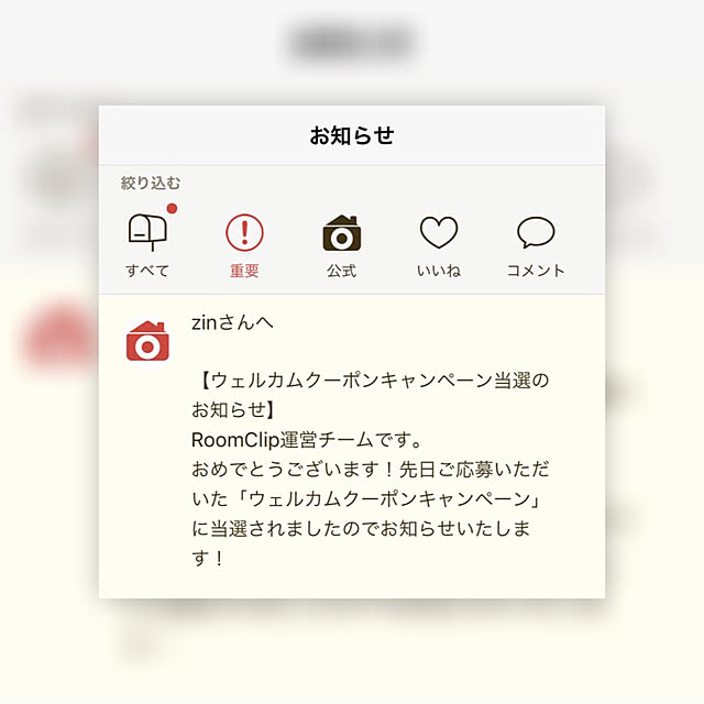 zinさんの実例写真