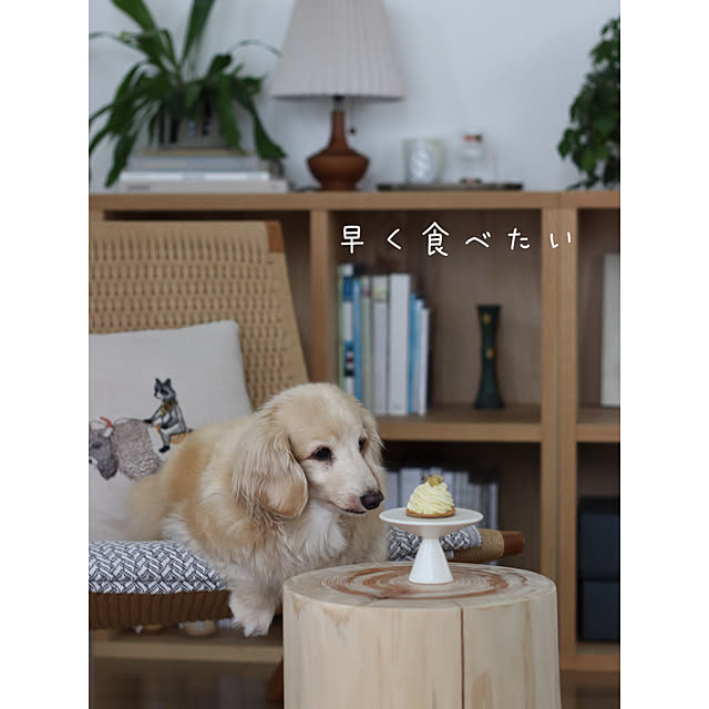 hanatomidorinoheyaさんの部屋