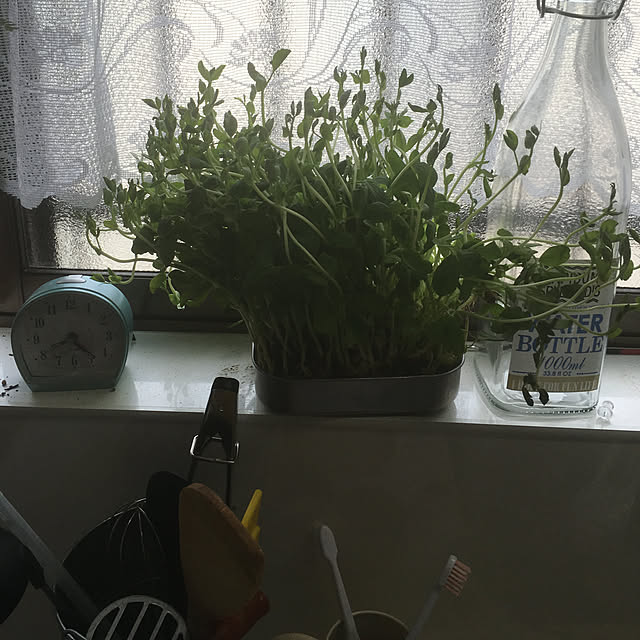 eee.aaa.mさんの実例写真