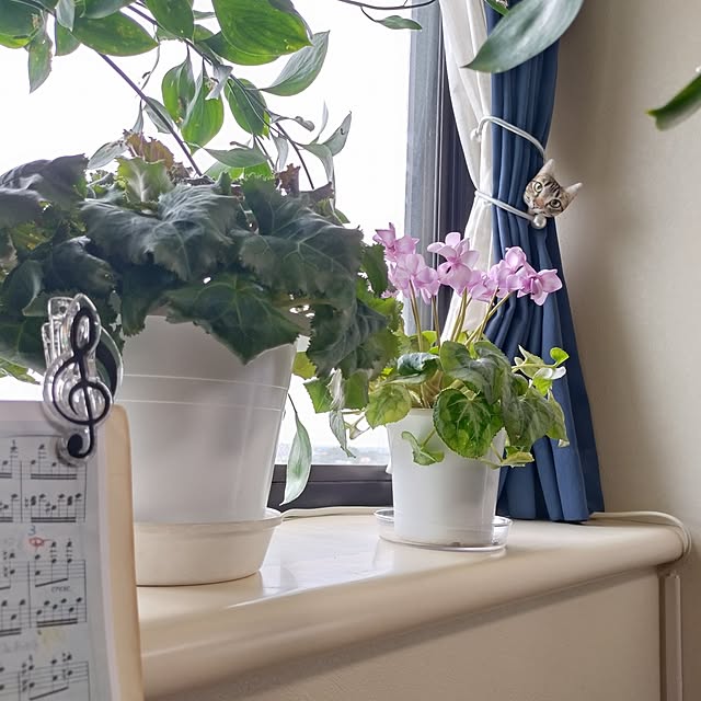 NOAHさんの部屋