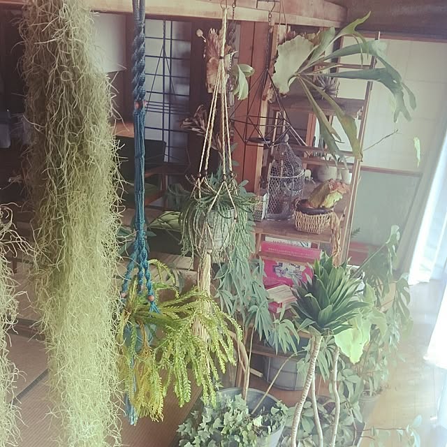 takenさんの実例写真