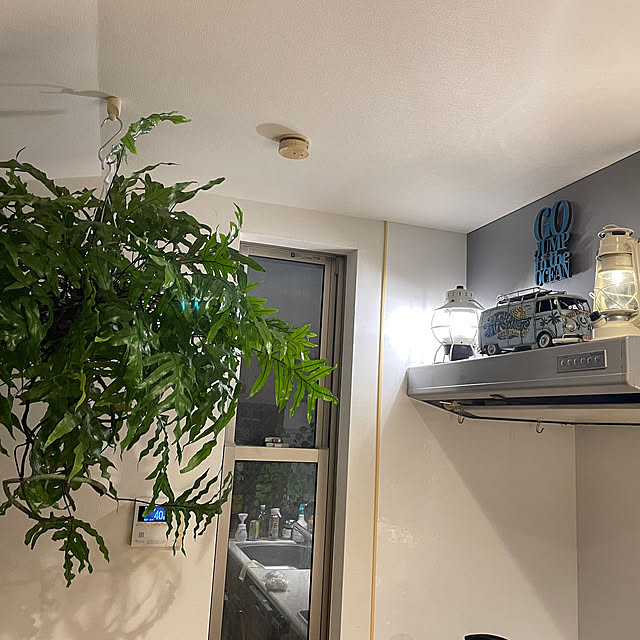 halさんの実例写真