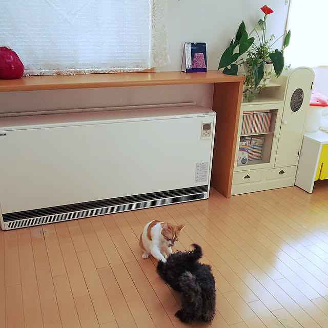 imacoco-3さんの実例写真