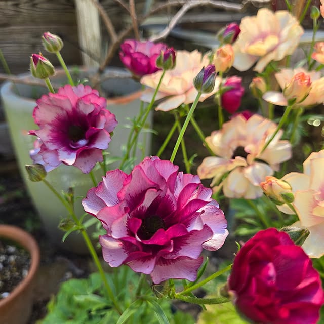 min_nimさんの部屋