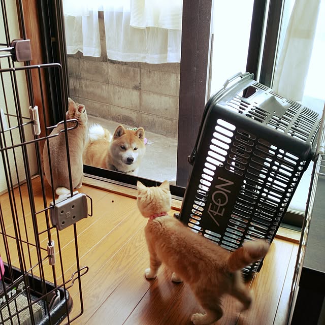 fruityanさんの実例写真