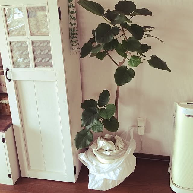mokaさんの実例写真