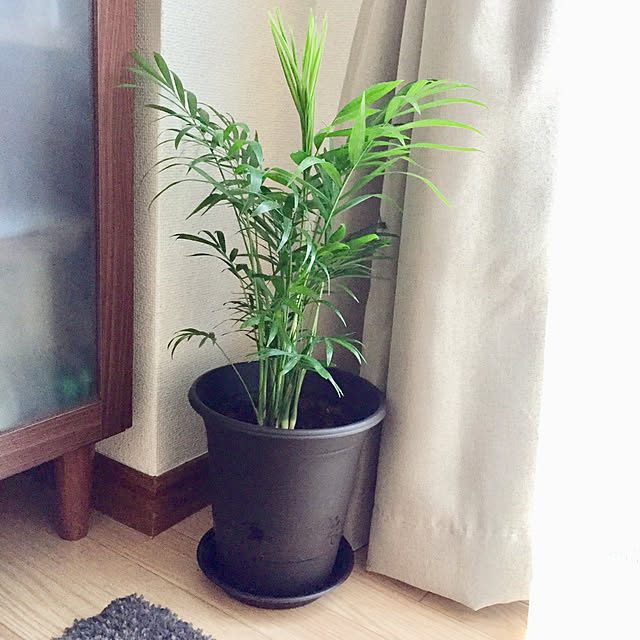 GowBooさんの部屋