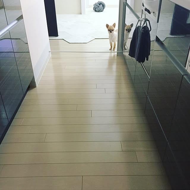 haruhinaさんの実例写真