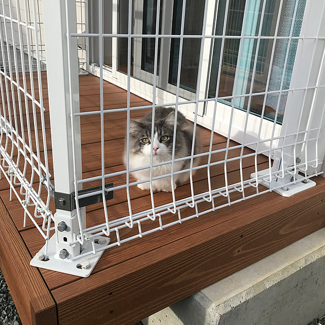 nukooさんの部屋