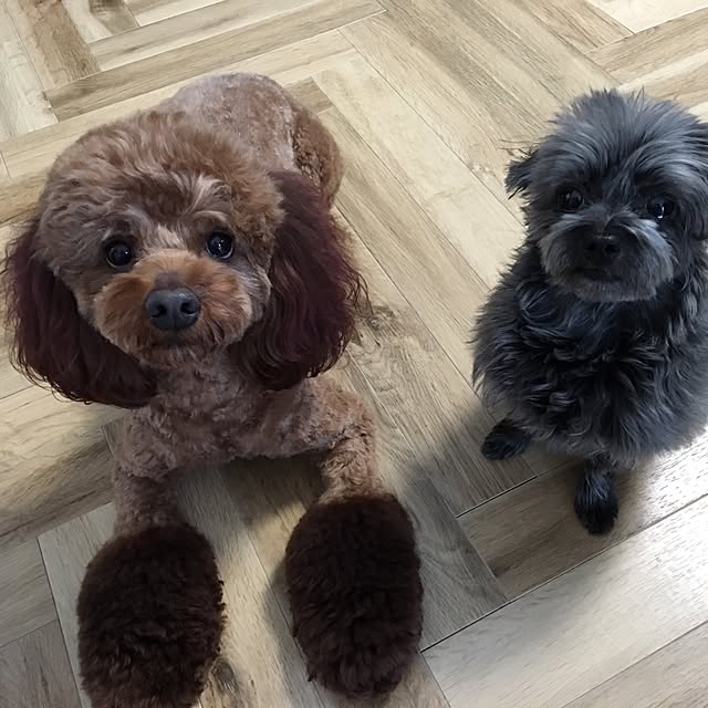 taigamamaさんの実例写真