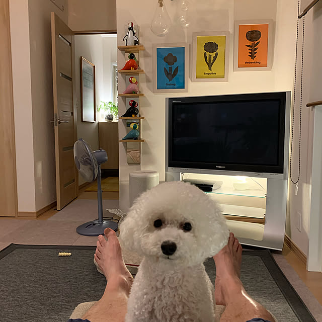 BUNさんの実例写真