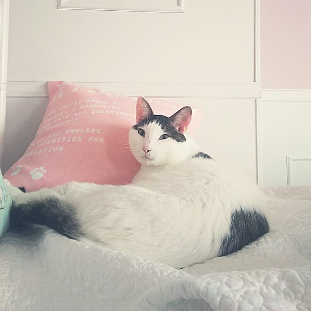 sakuraさんの実例写真