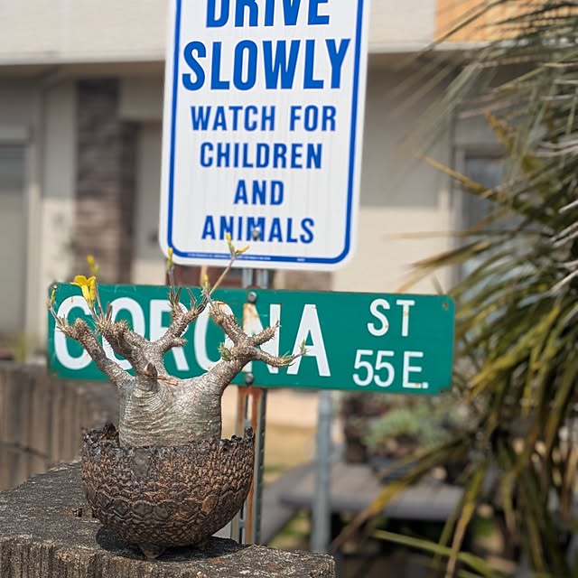 ot-gardenさんの部屋